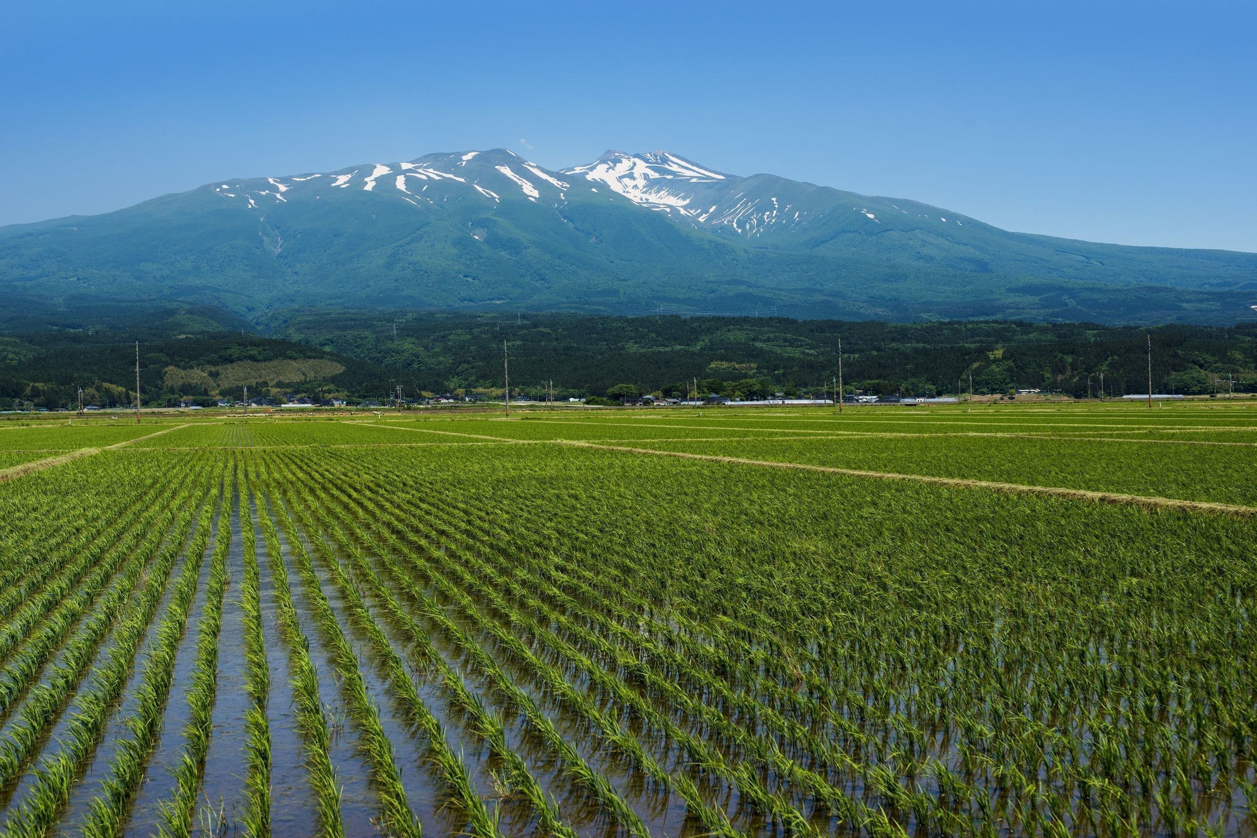 tiyoukaisan.jpg