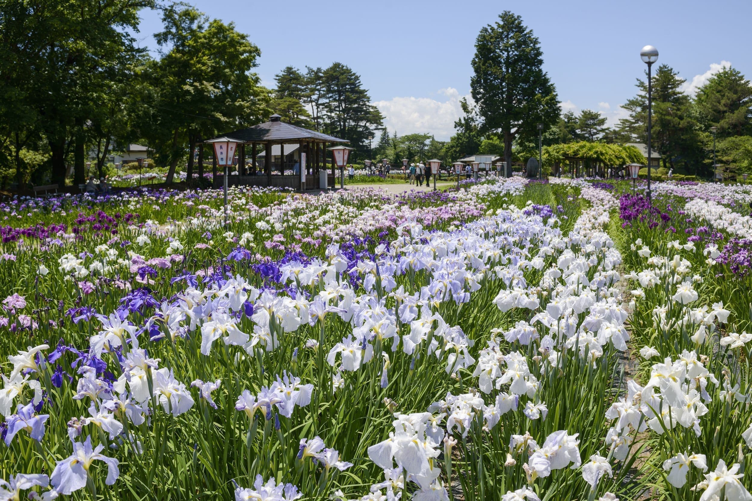 ayamekouen_20191209221856967.jpg