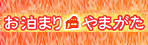 LinkIcon