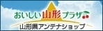 LinkIcon