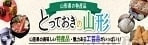 LinkIcon